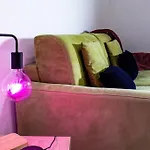 Urban Loft - Purple Loft